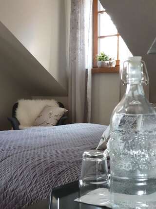 Отели типа «постель и завтрак» Majątek Morgi Suchowola Стандартный двухместный номер с 1 кроватью-4